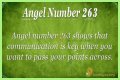 263 Angel Number Meaning - Pulptastic