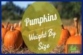 How Much Does Pumpkin Make Per Episode On Mama June?